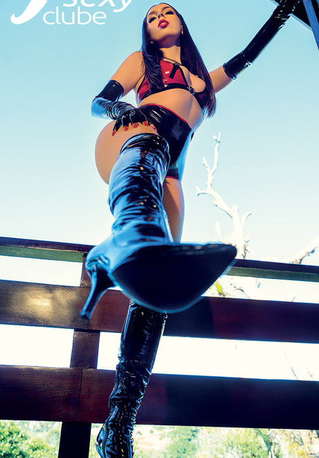 Lady Brigitte アートスター 写真