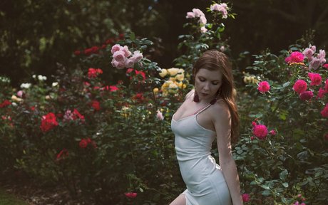 MeowSparky ポルノスター パーフェクト 画像