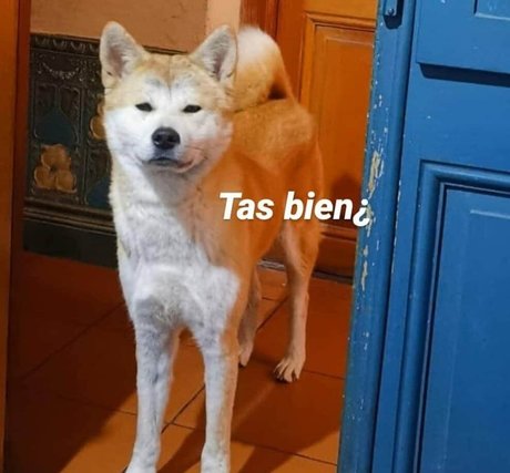 firefliesirl ポルノスター 可愛い 写真