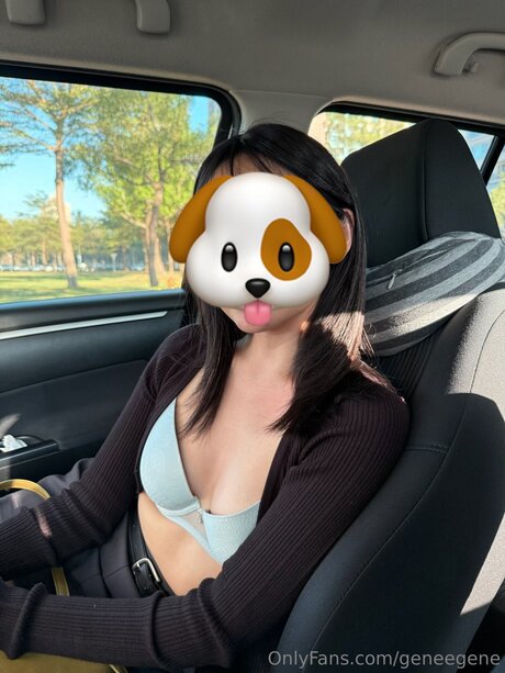 geneegene アートスター アーカイブ