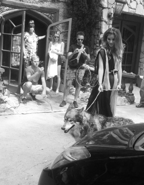 セーリングオンリーファンズ アートヌード 写真