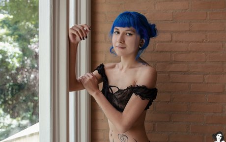 Wingsweak 素敵なポルノスター 画像