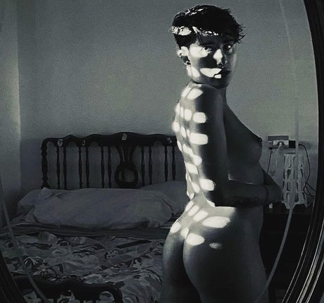 Laubrasil スター xxx 写真