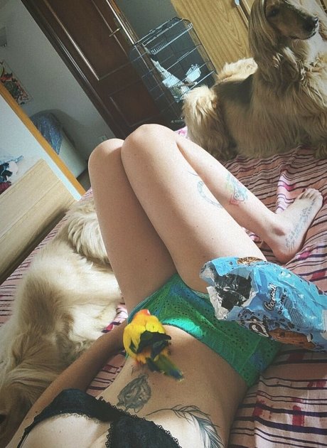 MidoriShake 写真集