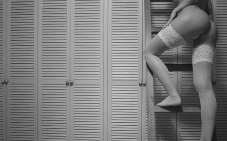 タンオンリーファン 無料裸 写真