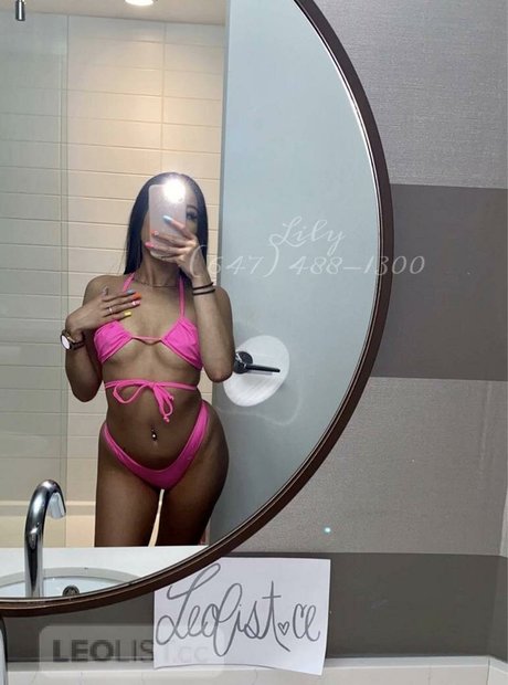 Baby Lily ホットスター 画像