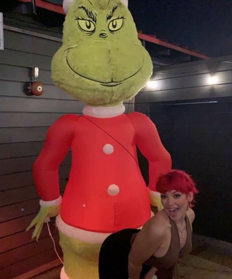 Squidbean 素敵なスター 画像