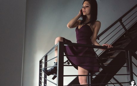 laneibadhabit 高品質モデル ギャラリー