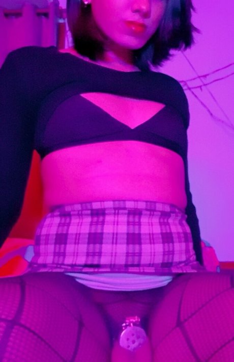 KwitTrap 美しいスター 写真