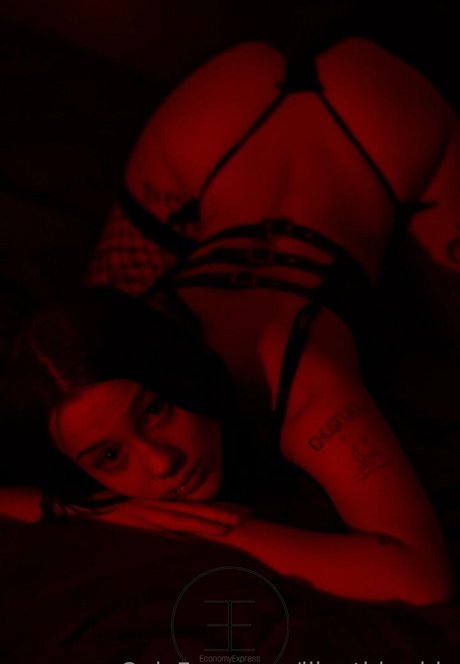 獣医オンリーファンズ ホット アーカイブ