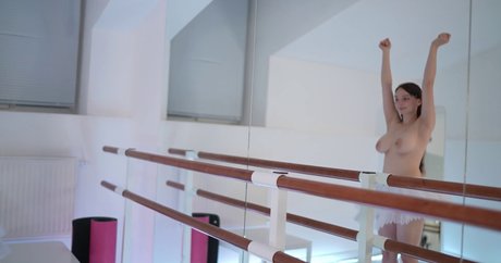 floret joy 最高のスター アーカイブ