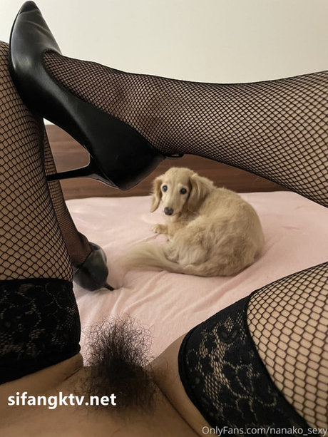 Nanako モデル ギャラリー