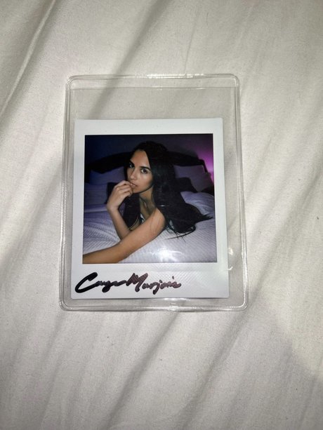 南部のオンリーファンズ アダルト アーカイブ