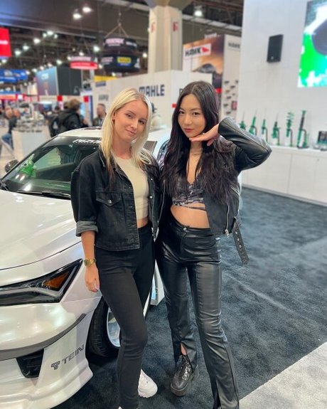 Sonja Reid_ アートスター 画像