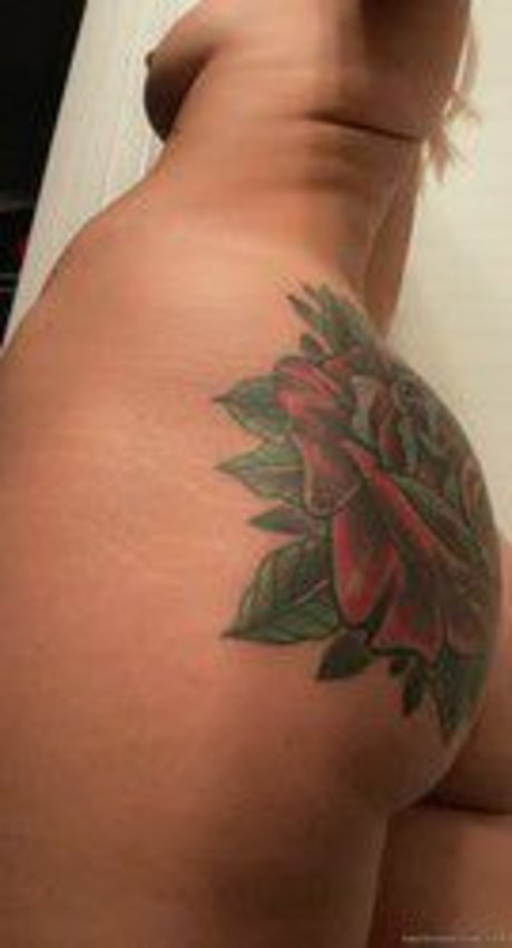 Taylor Starling_ ポルノ女優 画像