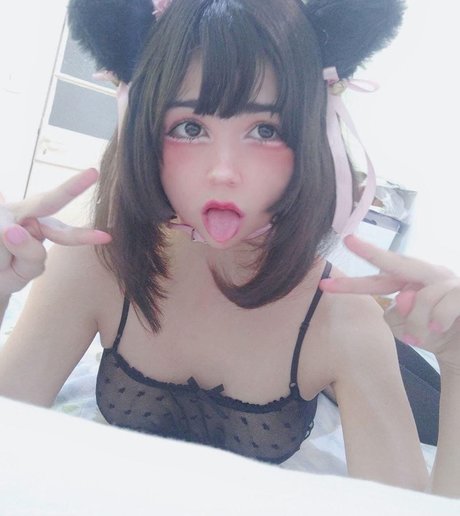 Little mewi プロフィール写真