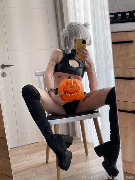 Sib Mouse xxxモデル 写真