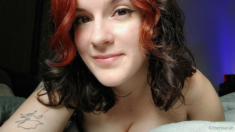 kitten sarah 最高のスター ギャラリー