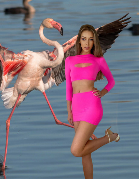 Sexxylorry ポルノスター エロティック 写真