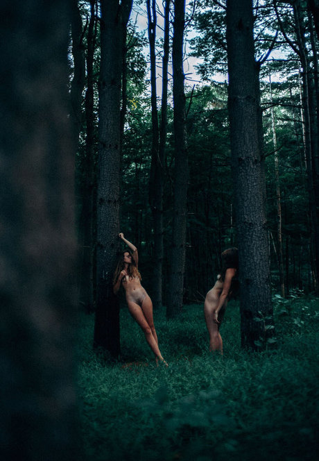 Kirstin Elizabeth 限定スター ギャラリー