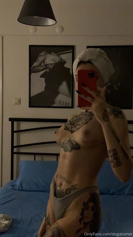 dogatumer 高品質のスター 写真