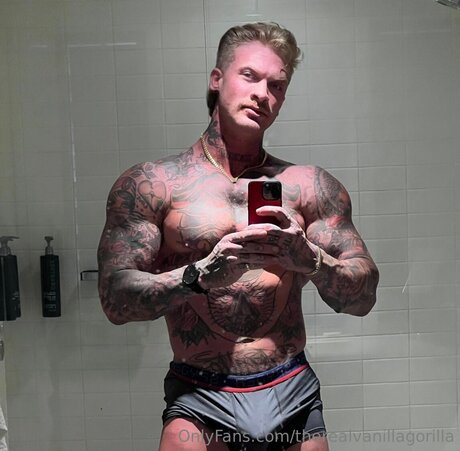 Therealvanillagorilla ポルノスター アダルト 写真