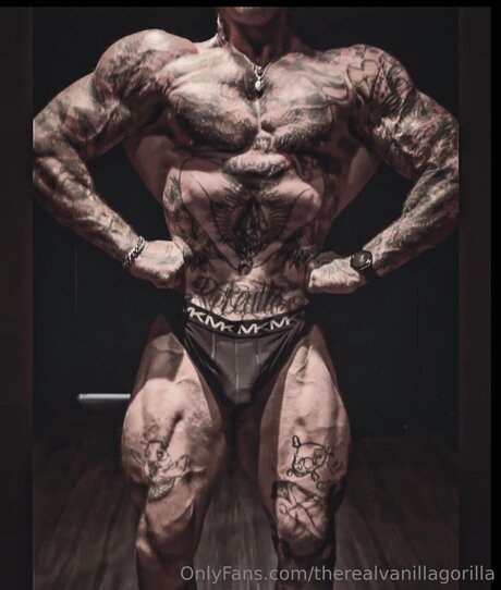 Therealvanillagorilla アダルトモデル ギャラリー
