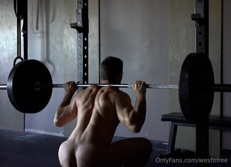 Wesfitfree ヌードのポルノスター 画像