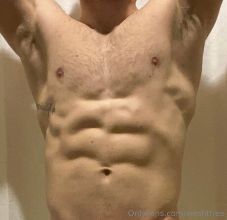 Wesfitfree ヌードモデル 画像