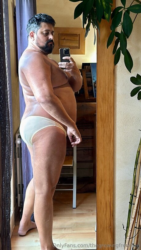 Thegrowingfrenchie かわいいスター 写真