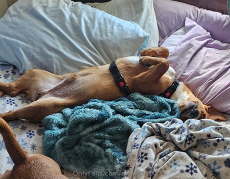 熟女妊娠オンリーファンズ アートポルノ ギャラリー