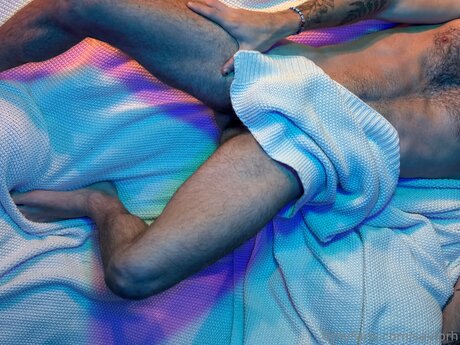 Saylorh 独占モデル 画像