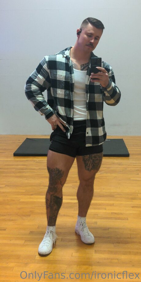Ironicflex スターセックス 画像