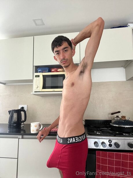 Augst Ts セクシーなポルノスター 画像