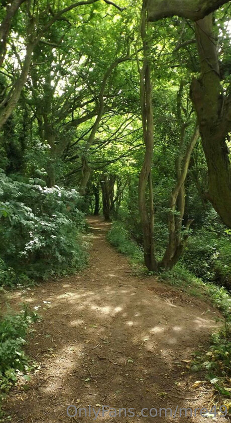 セクシーなブルネットのオンリーファンズ 無料ポルノ 画像