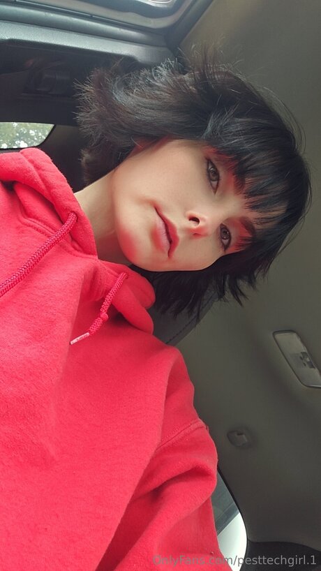 Pesttechgirl 1 素敵なポルノスター 写真