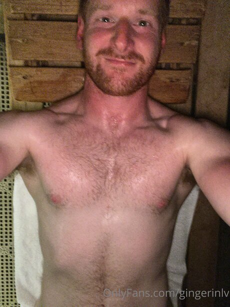 Gingerinlv 限定モデル 画像