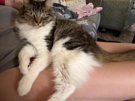 Ilovepussycats111 高品質モデル 写真