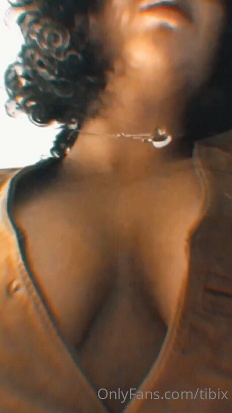 Tibix ポルノ女優 写真