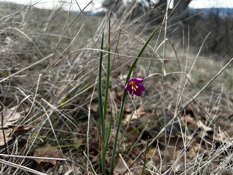 後背位オンリーファンズ エロチック 写真