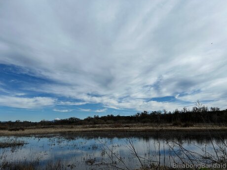 熟女の足オンリーファンズ 美しい ギャラリー
