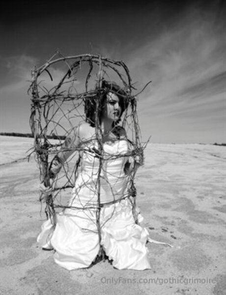 Gothicgrimoire 高品質のスター アーカイブ