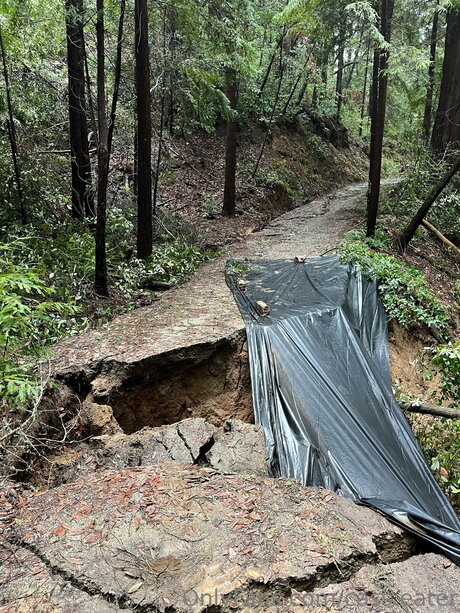 Cass Eater エロティックモデル 画像