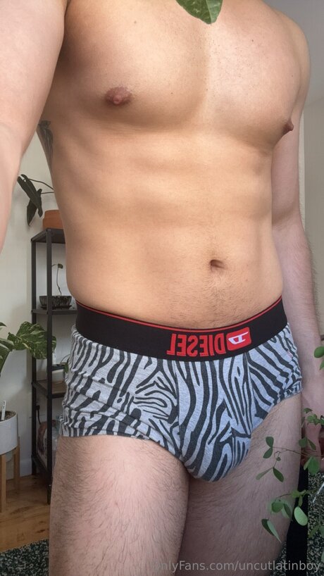 Uncutlatinboy ポルノモデル 写真