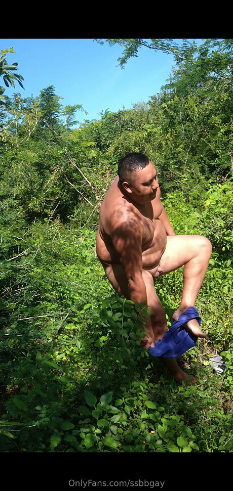 タンオンリーファン アートxxx 写真