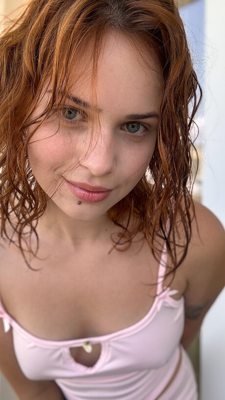 Pineappleri ポルノスター パーフェクト アーカイブ