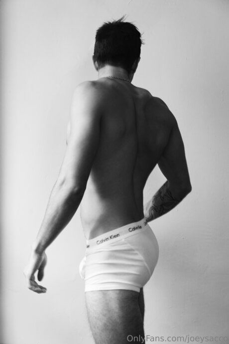 Joeysacco ポルノスター アート 写真