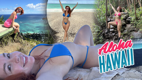 Sinatramonroeoftv HDモデル 画像