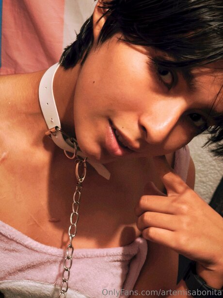 Artemisabonita 限定モデル 画像