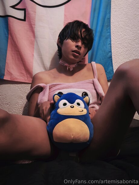 Artemisabonita トップ女優 写真